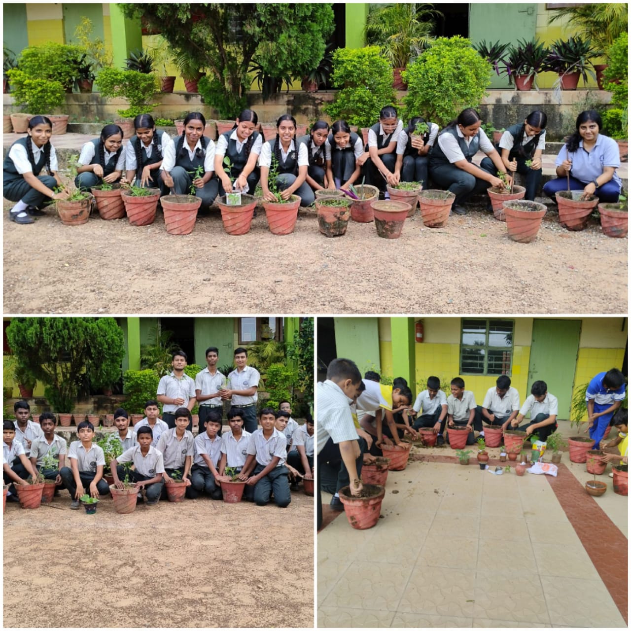 Eco Club Activity
